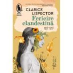 Fericire clandestina. Proza scurta, 1971-1977 - Clarice Lispector