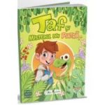 Taf si misterul din piatra