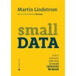 Small DATA. Indicii marunte care scot la iveala trenduri in masa - Martin Lindstrom