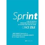 Sprint. Cum sa rezolvi probleme importante si sa testezi idei noi in doar cinci zile - Jake Knapp