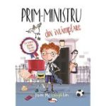 Prim-ministru din intamplare - Tom McLaughlin