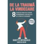 De la trauma la vindecare. 8 strategii practice pentru redobandirea controlului si a starii de siguranta. Jurnal de lucru - Babette Rothschild, Vanessa Bear