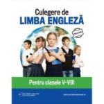 Pachet limba engleza. Clasele 5-8 - Daniela Ionescu