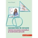 Geometrie in spatiu pentru Evaluarea Nationala si Olimpiade scolare - Sorin Peligrad