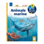 Animale marine - Anita van Saan