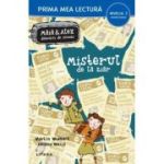 Misterul de la ziar. Maia si Alex, detectivi de succes (Nivelul 3 Miniroman) - Martin Widmark, Helena Willis