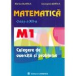 Matematica M1 culegere pentru clasa a 12-a - Marius Burtea