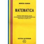 Matematica, Culegere de probleme rezolvate din Manualul pentru clasa 10-a - Mircea Ganga