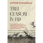 Trei ceasuri in iad - Antonie Plamadeala