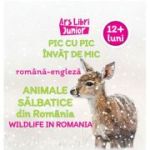 Pic cu pic invat de mic. Animale salbatice din Romania