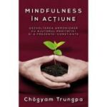 Mindfulness in actiune. Dezvoltarea armonioasa cu ajutorul meditatiei si a prezentei constiente - Chogyam Trungpa