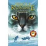 Cartea 37 Pisicile Razboinice. Codul Incalcat. Stele Ratacite - Erin Hunter