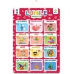 Poster Lunile anului