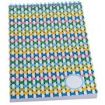 Carnet notite cu foaie velina A4, 100 file, Casa Tipografica