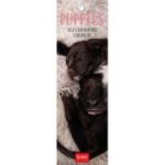 Calendar 2025 Semn de carte Puppies, Legami