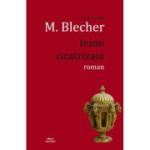 Inimi cicatrizate - Max Blecher