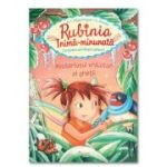 Rubinia Inima-Minunata. Misteriosul vrajitor al ghetii - Karen Christine Angermayer, Elke Broska