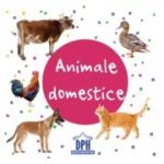 Animale domestice. Carti pliate