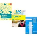Pachet Bacalaureat 2026. Eseul. Literatura Romana. Pregatire individuala pentru proba scrisa, Matematica si Fizica 100 variante rezolvate - Liliana Paicu, Radu Gologan, Doru Badiu