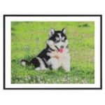 Pictura diamant Creative Craft, model caine, 40x50 cm