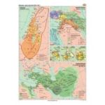 Orientul antic (secolul 12-1 i. Hr.) 100x140 cm CR-3204B