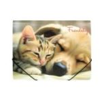 Mapa plastic A4, prindere elastic, tematica prietenie