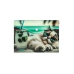 Buzunar plastic A5, inchidere capsa, design pisica