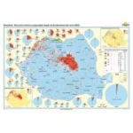 Romania. Structura etnica a populatiei dupa recensamantul din anul 2002 160x120 cm CR-3105A