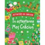 Activitati de Craciun. In asteptarea lui Mos Craciun