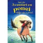 Aventuri cu ponei. Fulger este in pericol	- Usch Luhn