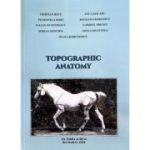 Topographic anatomy - Cristian Belu