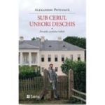 Sub cerul uneori deschis. Povestile castelului Salbek - Alexandru Potcoava