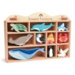 Animalutele apelor pe raft Coastal Creatures, 10 piese