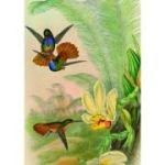 Puzzle 1000 piese + saculet, Colibri, Kiub