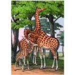Puzzle 1000 piese + saculet, Girafe, Kiub