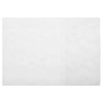 Coperta PVC caiet special mic (bio/geo/muzica) 495x175mm, 120 microni, ROM