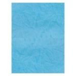 Coperta indosariere A4 CNX, carton imitatie piele, albastru, 230g/mp, top 100 coli