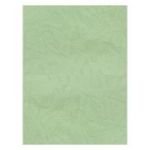 Coperta indosariere A4 CNX, carton imitatie piele, fistic, 230g/mp, top 100 coli