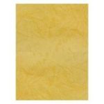 Coperta indosariere A4 CNX, carton imitatie piele, ocru, 230g/mp, top 100 coli