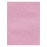 Coperta indosariere A4 CNX, carton imitatie piele, roz, 230g/mp, top 100 coli