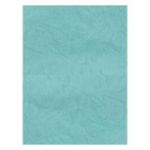 Coperta indosariere A4 CNX, carton imitatie piele, turquoise, 230g/mp, top 100 coli