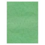 Coperta indosariere A4 CNX, carton imitatie piele, verde, 230g/mp, top 100 coli