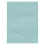 Coperta indosariere A4 CNX, carton imitatie piele, verde pastel, 230g/mp, top 100 coli