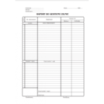 Tipizat - raport gestiune zilnic - A4, portret, simplu, 100 file