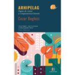 Arhipelag. Pagini de critica si comparatistica literara - Cezar Boghici