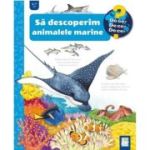 Sa descoperim animalele marine, De ce 4-7 ani - Andrea Erne