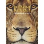 In marime naturala. Animale din Africa. Editie hardcover - Holger Haag