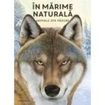 In marime naturala. Animale din padue. Editie hardcover - Holger Haag