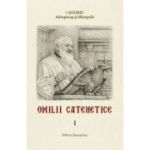 Omilii catehetice, 2 volume - Andrei Andreicut