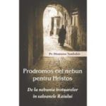 Prodromos cel nebun pentru Hristos. De la nebunia trotuarelor in saloanele Raiului - Pr. Dionisios Tambakis